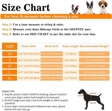 Adjustable Dog Life Jacket, product photo 10 of 10