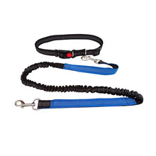 Adjustable Hand Free Dog Leash in Blue