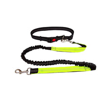 Adjustable Hand Free Dog Leash in Lime Green