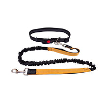 Adjustable Hand Free Dog Leash in Orange