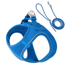 Adjustable Harness Leash Set for Dogs, product photo 12 of 31