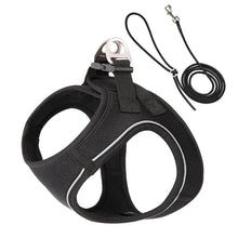 Adjustable Harness Leash Set for Dogs, product photo 13 of 31
