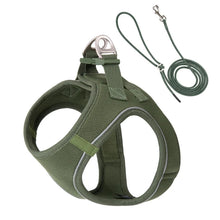 Adjustable Harness Leash Set for Dogs, product photo 14 of 31