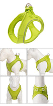 Adjustable Harness Leash Set for Dogs, product photo 20 of 31