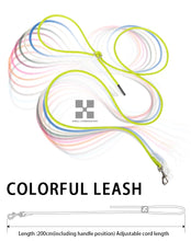 Adjustable Harness Leash Set for Dogs, product photo 24 of 31