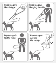 Adjustable Harness Leash Set for Dogs, product photo 25 of 31