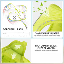 Adjustable Harness Leash Set for Dogs, product photo 28 of 31