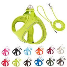 Alternate view of the Adjustable Harness Leash Set for Dogs