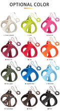 Adjustable Harness Leash Set for Dogs, product photo 3 of 31