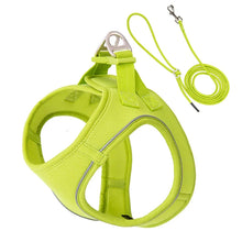 Adjustable Harness Leash Set for Dogs in Lime