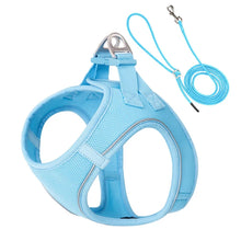 Adjustable Harness Leash Set for Dogs in Moon Blue