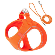 Adjustable Harness Leash Set for Dogs in Orange