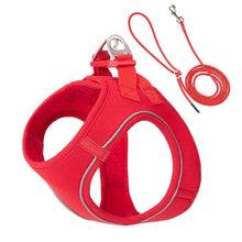 Adjustable Harness Leash Set for Dogs in Red