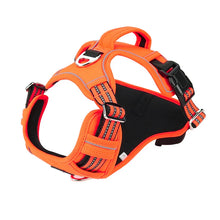 Adjustable No Pull Reflective Dog Harness in Orange