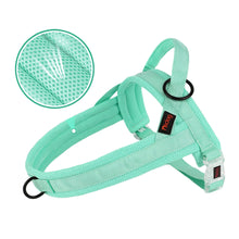 Adjustable Padded Pet Vest, product photo 8 of 10