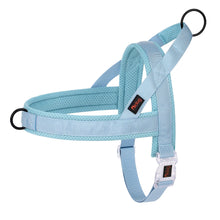 Adjustable Padded Pet Vest in Blue