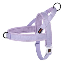 Adjustable Padded Pet Vest in Purple