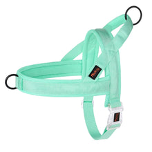 Adjustable Padded Pet Vest in Turquoise
