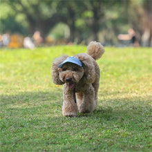 Adjustable Pet Baseball Hat with Ear Holes, product photo 6 of 12
