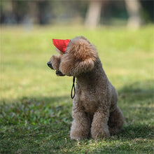 Adjustable Pet Baseball Hat with Ear Holes, product photo 7 of 12