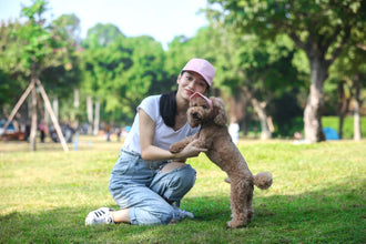 Adjustable Pet Baseball Hat with Ear Holes, product photo 9 of 12