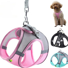 Adjustable Pet Harness and Lead Set, product photo 8 of 13