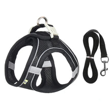 Adjustable Pet Harness and Lead Set in Black