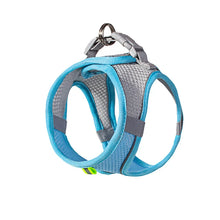 Adjustable Pet Harness and Lead Set in Blue
