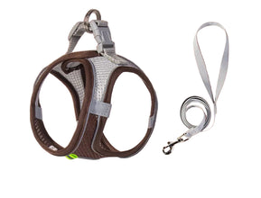 Adjustable Pet Harness and Lead Set in Coffee