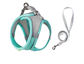 Adjustable Pet Harness and Lead Set in Green
