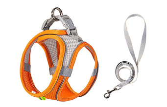 Adjustable Pet Harness and Lead Set in Orange