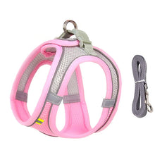 Adjustable Pet Harness and Lead Set in Pink