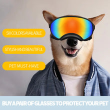 Adjustable Strap Dog Pet Glasses, product photo 7 of 17