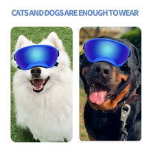 Adjustable Strap Dog Pet Glasses, product photo 9 of 17