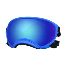 Adjustable Strap Dog Pet Glasses in Blue