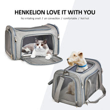 Airline Approved Pet Carrier, product photo 6 of 9