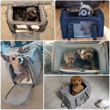 Airline Approved Pet Carrier, product photo 8 of 9