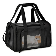 Airline Approved Pet Carrier in Black