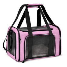 Airline Approved Pet Carrier in Pink