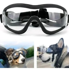 Anti-UV Pet Eye Protection in White
