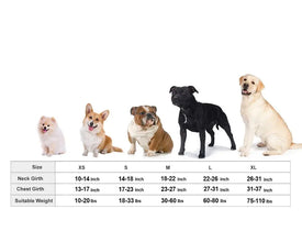 Anxiety Vest for Pet Dogs, product photo 7 of 7