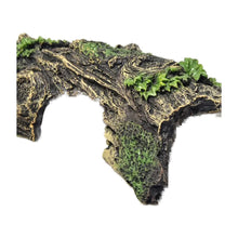 Aquarium Hollow Tree Cave Ornament on a white background