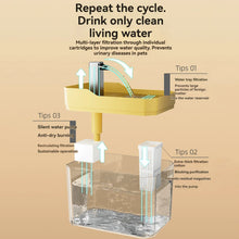Alternate view of the Auto-Filtering Cat Water Fountain with Pump
