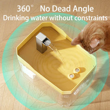 Auto-Filtering Cat Water Fountain with Pump, product photo 3 of 9