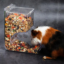 Automatic Food Dispenser for Small Pets, product photo 5 of 8