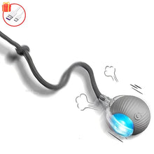 Automatic Rolling Ball with Tail in Grey Tail Ball