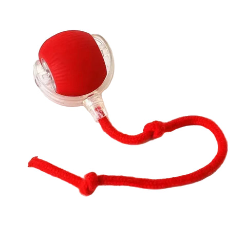 Automatic Rolling Dog Ball in Red