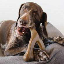 Alternate view of the Bacon Flavoured Bone Dog Chew Toy