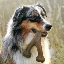 Bacon Flavoured Bone Dog Chew Toy, product photo 3 of 6