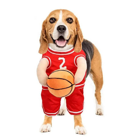 Dog wearing red basketball player costume